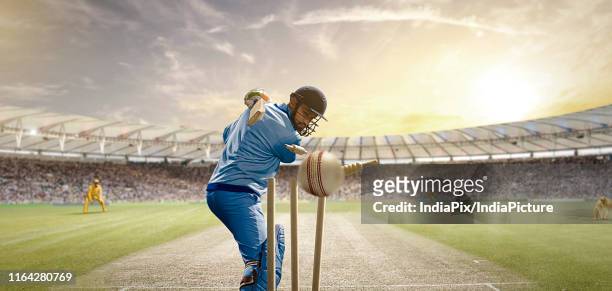 rear view of cricket ball hitting the stumps behind the batsman - cricket ball close up stockfoto's en -beelden