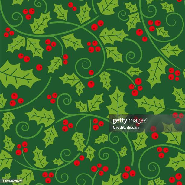 illustrations, cliparts, dessins animés et icônes de vignes de houx de noel et modèle sans couture de feuille. - papier cadeau de noël