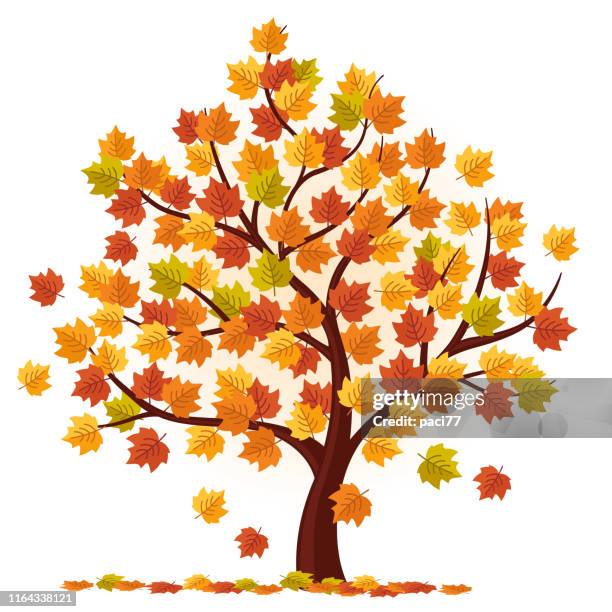 herbstbaum vektor - autumn tree stock-grafiken, -clipart, -cartoons und -symbole