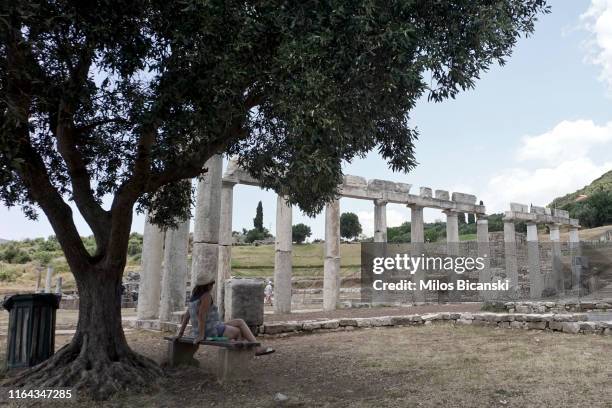 Agora Tree Bc Olive Tree Photos and Premium High Res Pictures - Getty Images