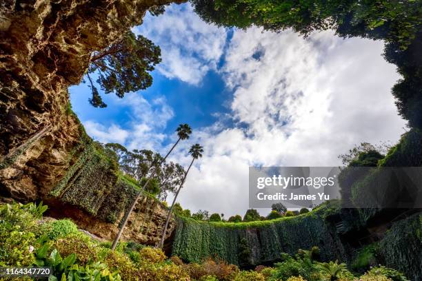 umpherston sinkhole (cenote) - sinkholes 個照片及圖片檔