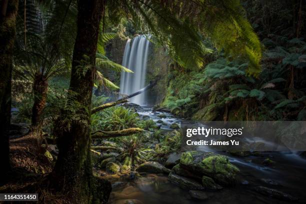 hopetoun falls - australian rainforest photos et images de collection