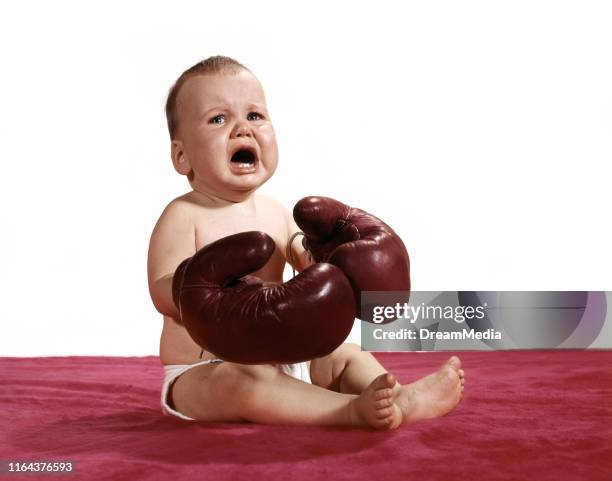 Boxing Baby 55 Baby Boxing Gloves Stock Photos, High-Res Pictures, and Images ...