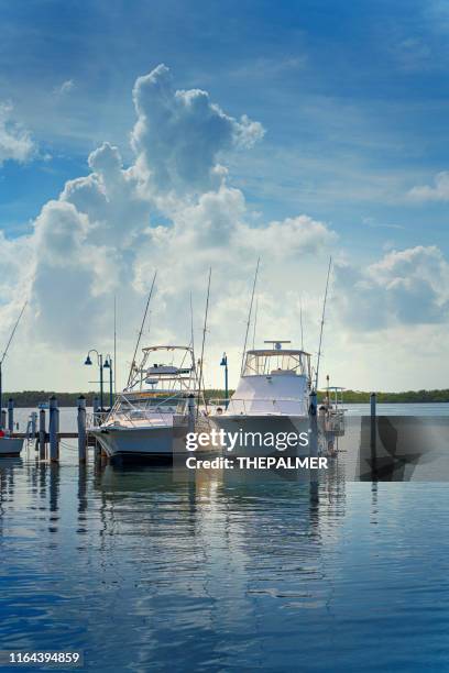 marina miami florida - florida marina stock pictures, royalty-free photos & images