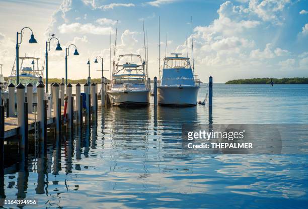 marina miami florida - moored stock pictures, royalty-free photos & images