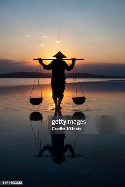 farmer carrying baskets on the water. - cambodia travel stock pictures, royalty-free photos & images