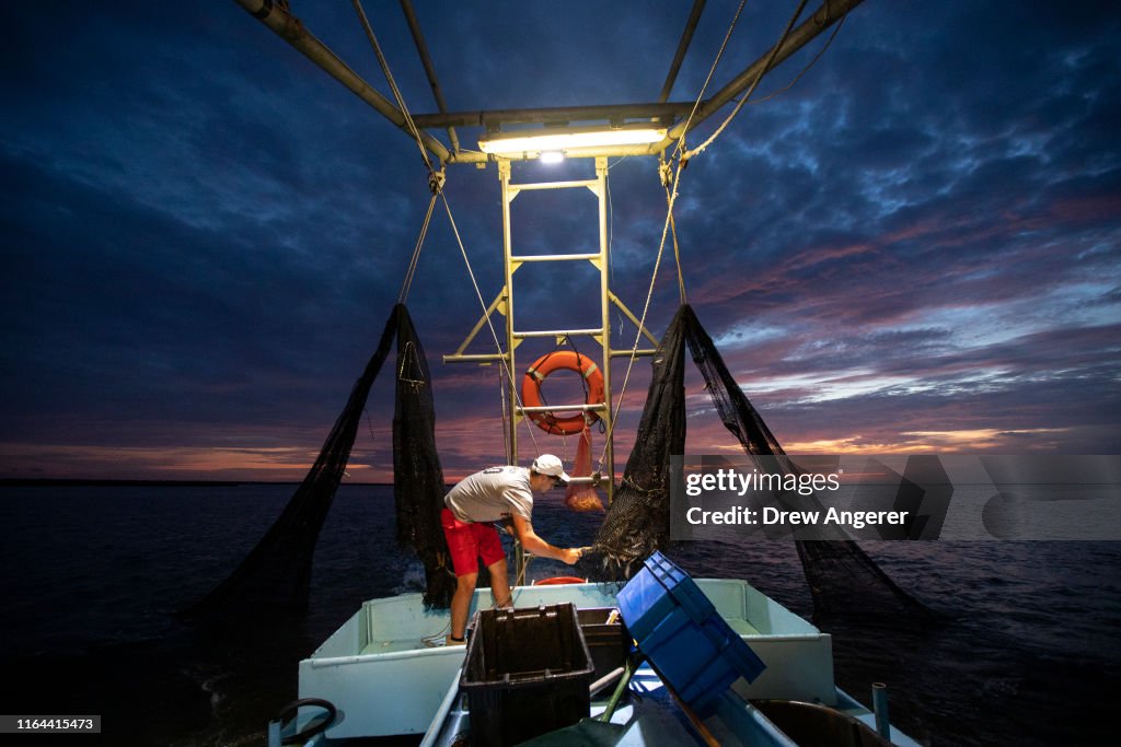 Combination Of Rising Sea Levels And Subsiding Land Endanger Louisiana Coast