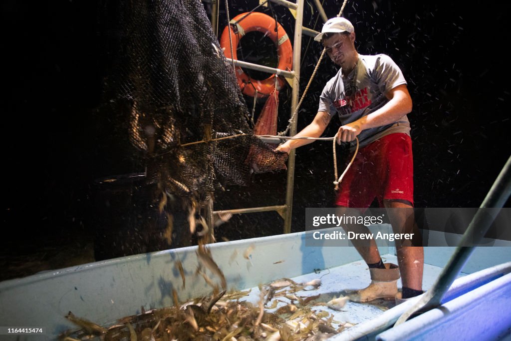 Combination Of Rising Sea Levels And Subsiding Land Endanger Louisiana Coast
