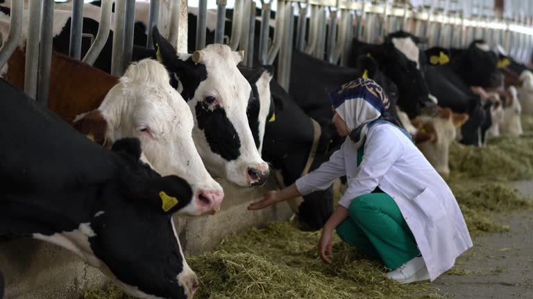 3,906 Women Doing Farm Animals Videos and HD Footage - Getty Images 3,906 Women Doing Farm Animals Videos and HD Footage - Getty Images