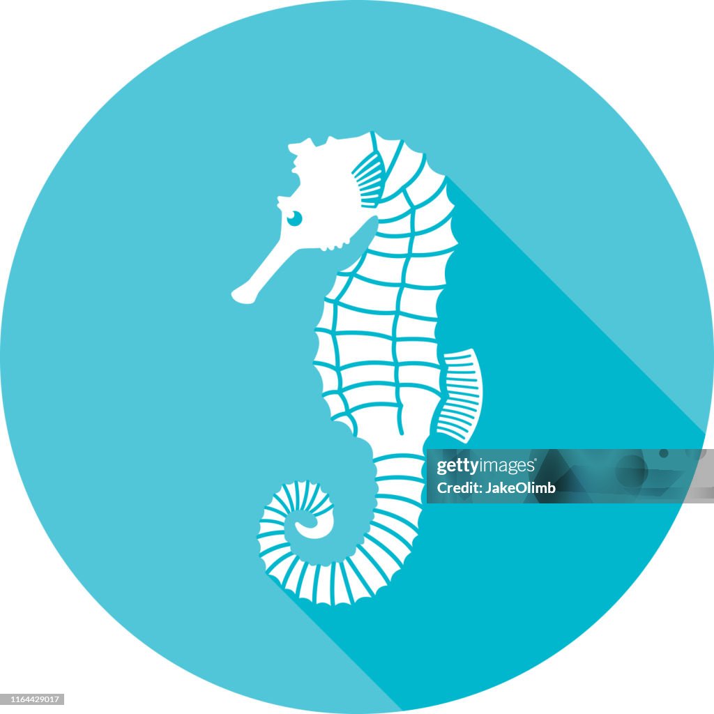 Seahorse Icon Silhouette