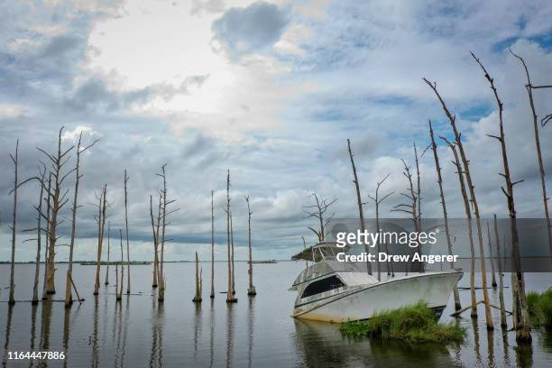 An abandoned boat sits in the water amid dead cypress trees in coastal waters and marsh August 26, 2019 in Venice, Louisiana. Many oak trees and...
