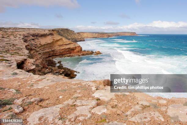 coastline australia - port lincoln stockfoto's en -beelden