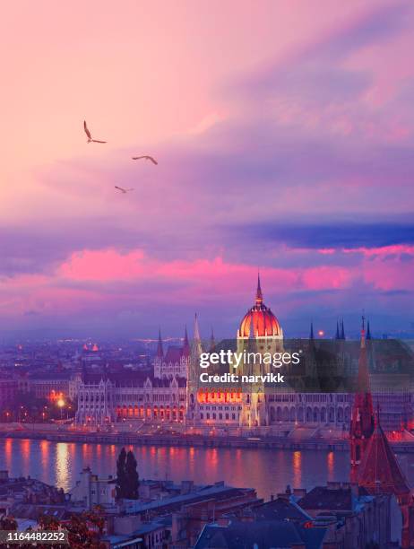 budapest by twilight - river danube stock pictures, royalty-free photos & images