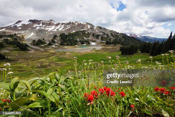 Northern Ridge Photos and Premium High Res Pictures - Getty Images
