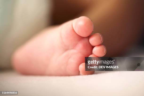 close up of newborn baby foot - little feet stock pictures, royalty-free photos & images