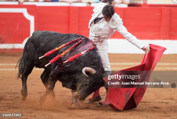 Spanish bullfighter Miguel Angel Perera mperforms during a bullfight as part of the Feria Santiago at Coso de Cuatro Caminos on July 25, 2019 in...