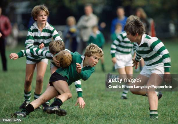 Derik Mini Rugby Player Mini Rugby Photos and Premium High Res Pictures - Getty Images