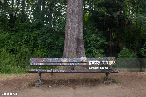 Bench close to Kurt Cobain's home and site of his suicide is covered in graffiti, flowers and messages from fans. Kurt Cobain was the singer,...