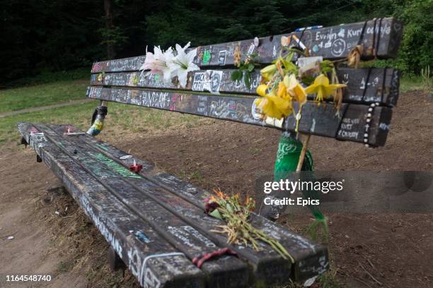 Bench close to Kurt Cobain's home and site of his suicide is covered in graffiti, flowers and messages from fans. Kurt Cobain was the singer,...