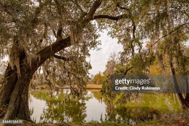 peaceful scene - southeast stock pictures, royalty-free photos & images