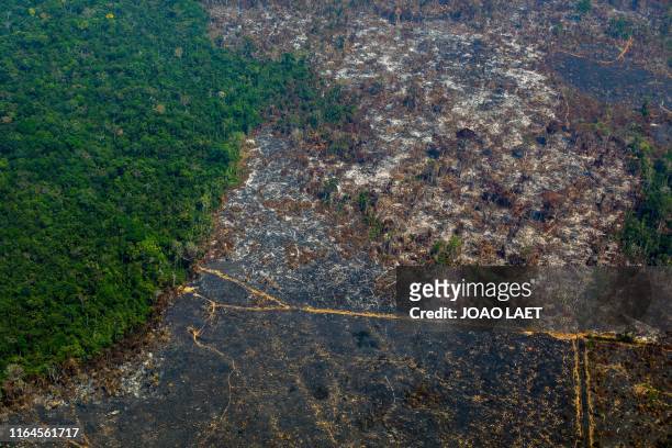 Aerial view of deforestation in Nascentes da Serra do Cachimbo Biological Reserve in Altamira, Para state, Brazil, in the Amazon basin, on August 28,...