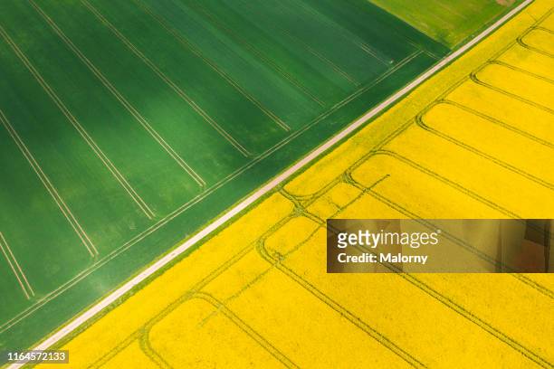 aerial view of yellow blooming rape fields. drone view. biomass. - biofuels stock pictures, royalty-free photos & images