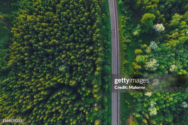 aerial view of railroad tracks amidst green trees in forest - railroad track stock-fotos und bilder