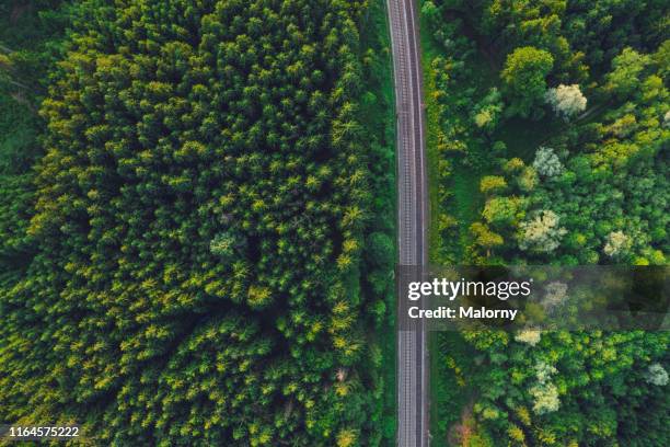 aerial view of railroad tracks amidst green trees in forest - railroad track stock pictures, royalty-free photos & images