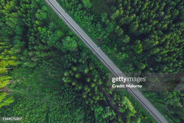 aerial view of railroad tracks amidst trees in forest. - aerial train stock-fotos und bilder