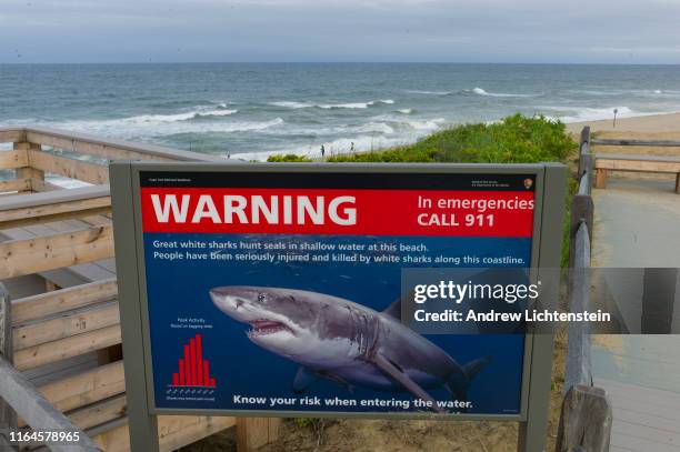 White shark warning signs greet visitors to Cape Cod's beaches on July 25, 2019 in Wellfleet, Massachusetts. The culture of Cape Cod is dramatically...