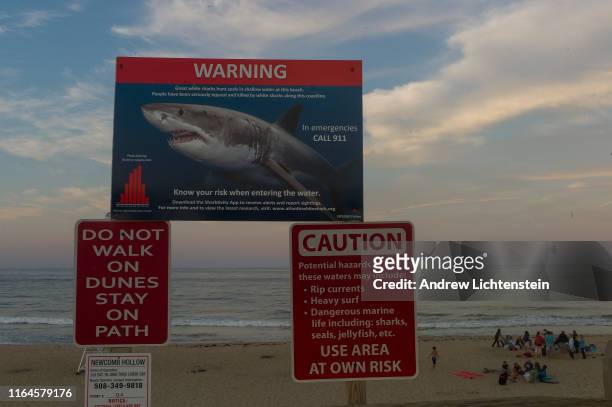 White shark warning signs greet visitors to Cape Cod's beaches on July 25, 2019 in Wellfleet, Massachusetts. The culture of Cape Cod is dramatically...
