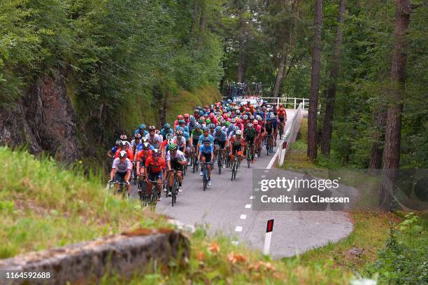 Peloton / Landscape / Forest / during the 2nd Adriatica Ionica Race 2019, Stage 4 a 204,5km stage from Padola to Cormons - Monte Quarin 181m /...