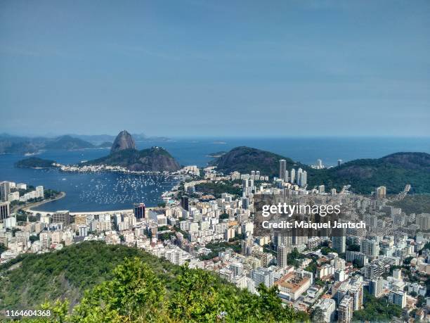 rio de janeiro's view. - rocinha río de janeiro fotografías e imágenes de stock