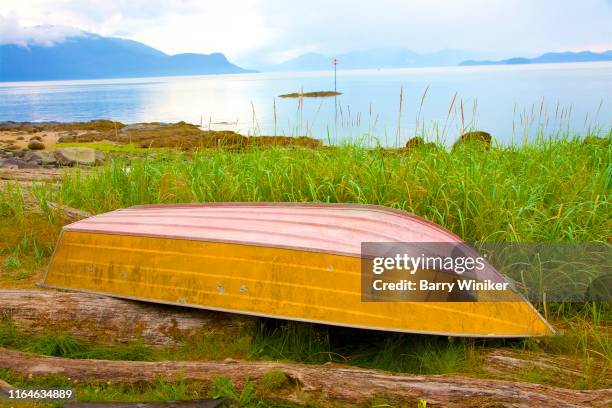 rowboat on logs near grasses and shoreline in wrangell, alaska, usa.   located at mouth of the stikine river. - stikine river stock pictures, royalty-free photos & images