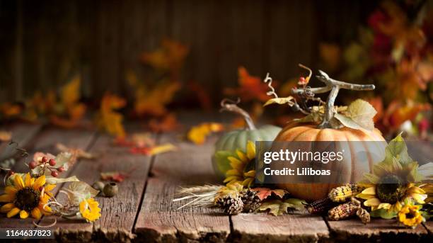 autumn pumpkin background on wood - fall leaves and pumpkins stock pictures, royalty-free photos & images