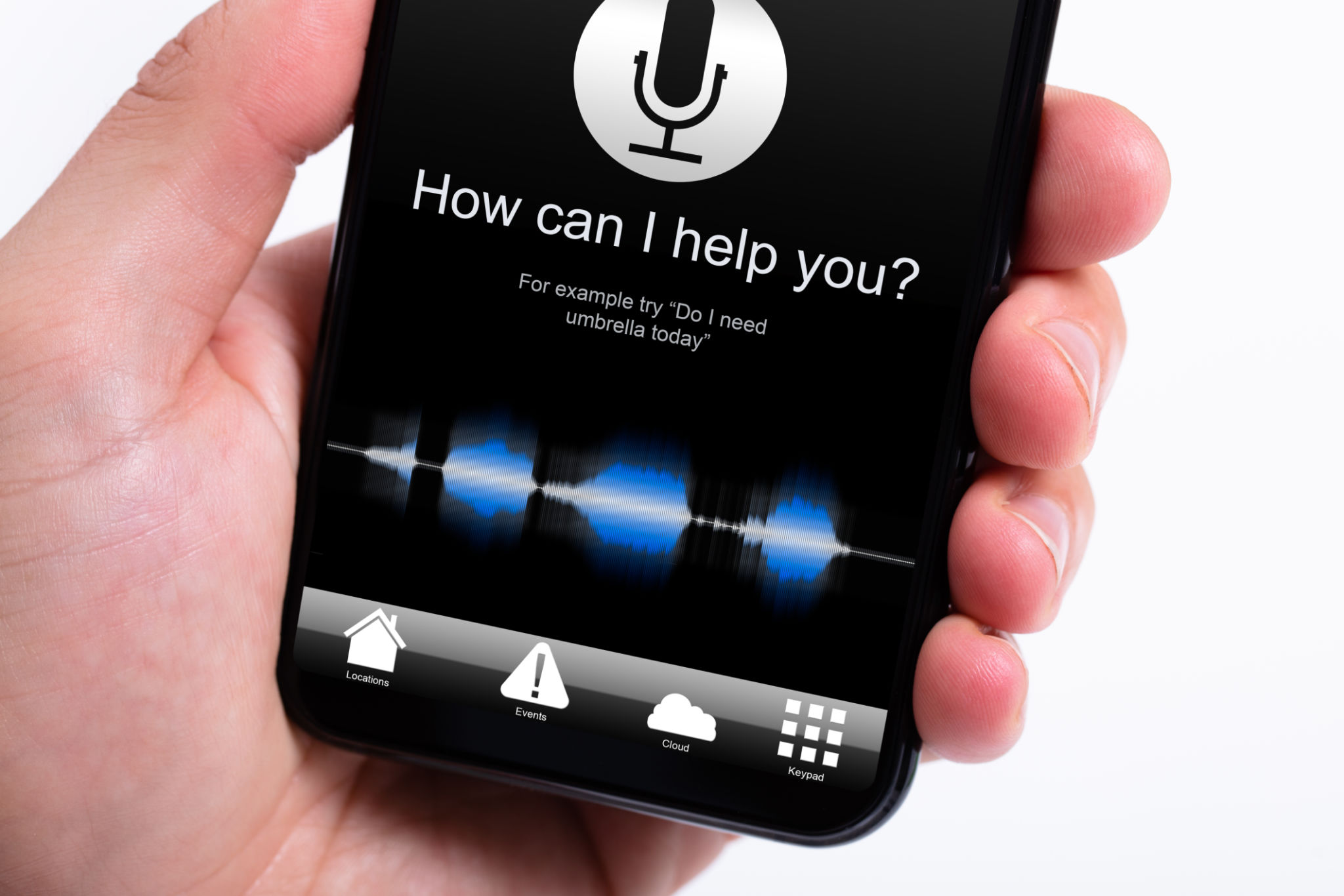 voice control device