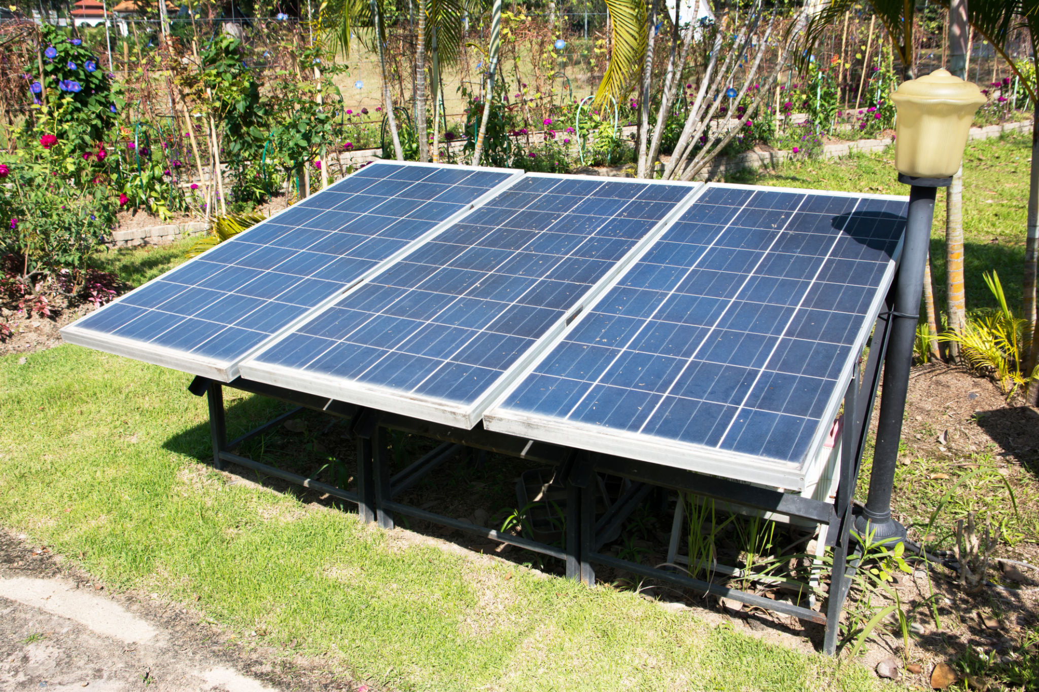 Solar panels in the park background. Row of small solar cell panels in the garden Solar panels in the park background. Row of small solar cell panels in the garden