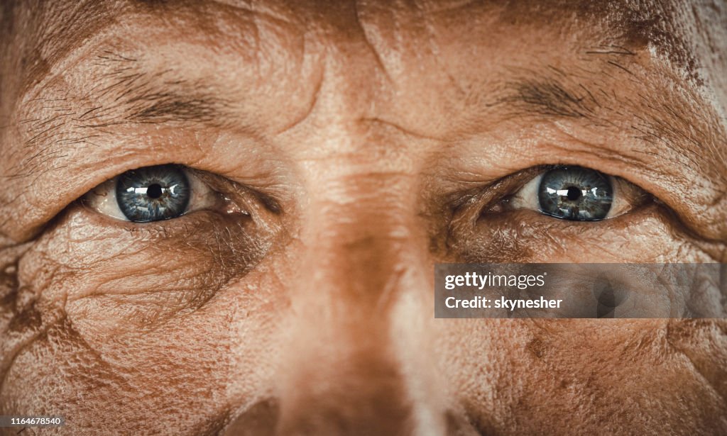 Blauäugiger Senior.