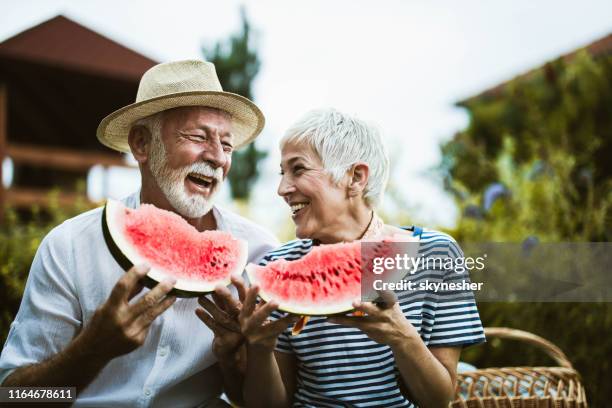 couples mûrs joyeux ayant l'amusement tout en mangeant la pastèque pendant le jour de pique-nique dans la nature. - pastèque photos et images de collection