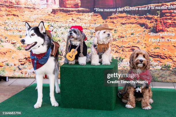 Dogs wearing western wear attend a Special Sneak Peek of Ken Burns' PBS documentary series "Country Music" at Autry Museum of the American West on...