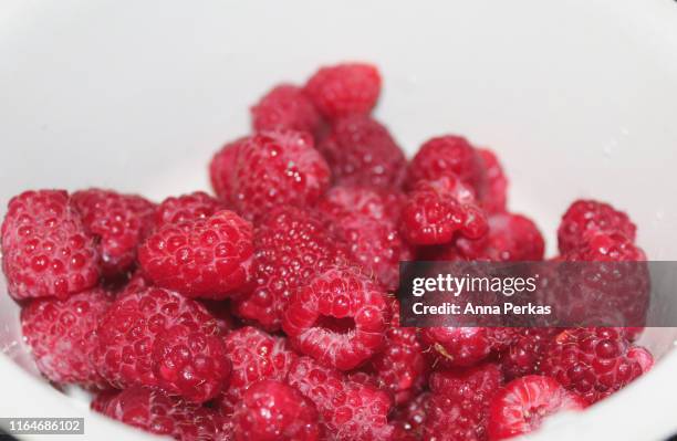 raspberry part 1 - himbeerpflanze stock-fotos und bilder