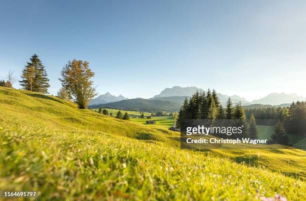 bayerische alpen - mittenwald and isar - mittenwald ストックフォトと画像