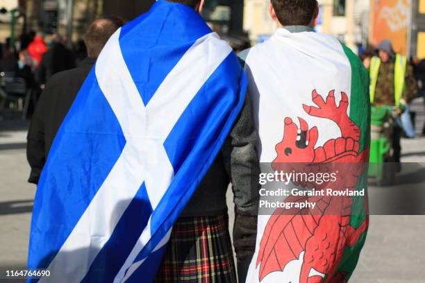 welsh & scottish flags for rugby game - wales v scotland rbs six nations stock pictures, royalty-free photos & images