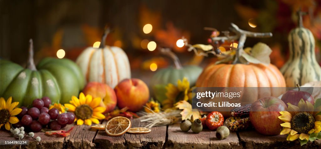 Autumn Pumpkin Background on Wood