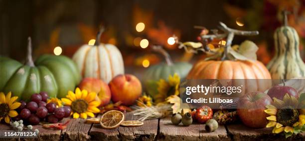 autumn pumpkin background on wood - thanksgiving wallpaper imagens e fotografias de stock