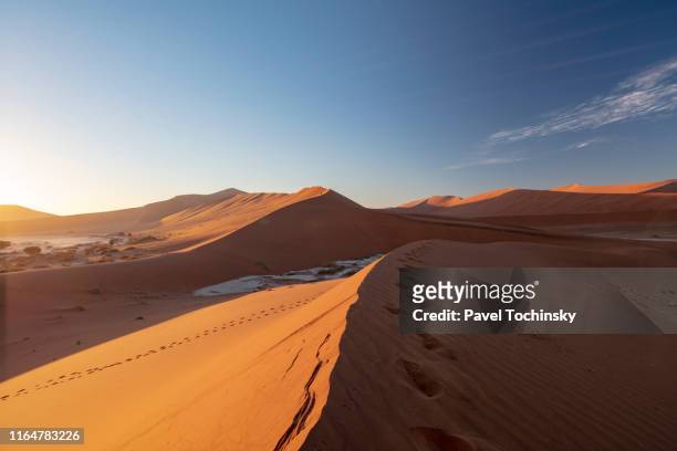 sossuvlei sand dunes at sun rise, namibia, 2018 - sossusvlei stock pictures, royalty-free photos & images