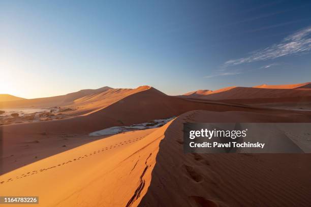 sossuvlei sand dunes at sun rise, namibia, 2018 - deserto de kalahari imagens e fotografias de stock