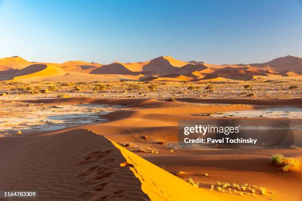 sossuvlei sand dunes at sun rise, namibia, 2018 - kalahari desert stockfoto's en -beelden