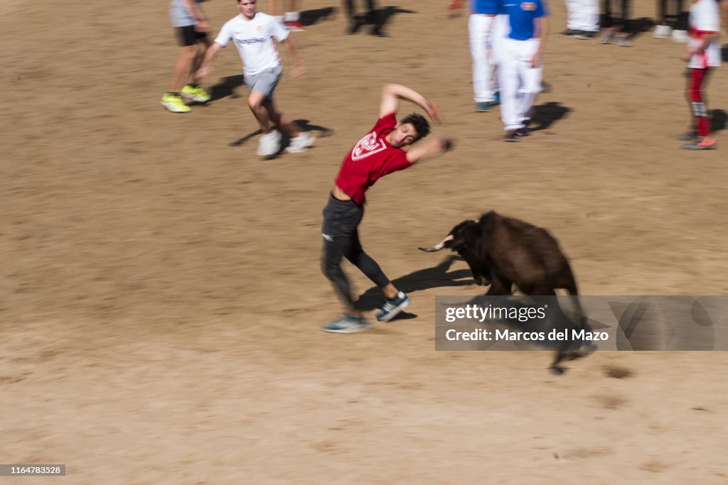 A reveler dodging a bull after the fourth running of the...