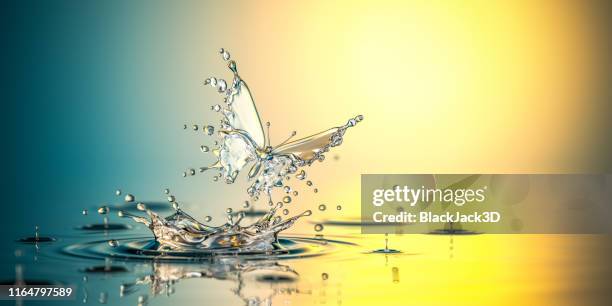 water butterfly. the birth of the life - imagination abstract stock pictures, royalty-free photos & images